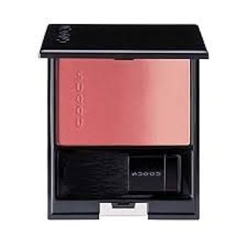 Amazon | スック SUQQU ピュア カラー ブラッシュ 04 漆陽